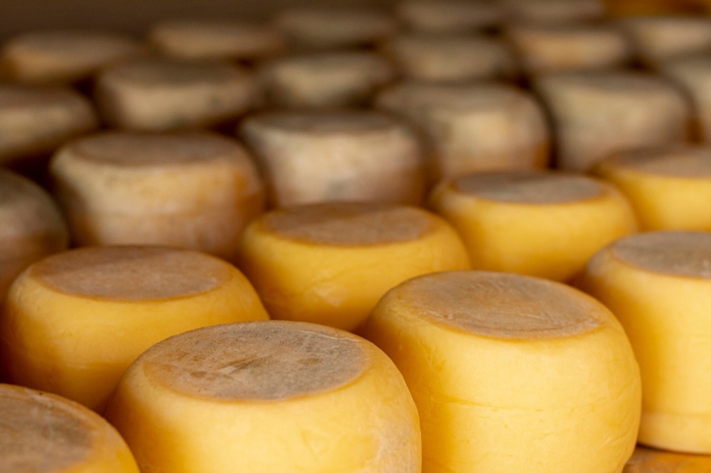 The Aging Process of Wisconsin Aged Cheddar